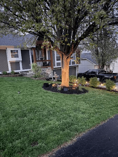 Warm landscape lights installed beneath a mature front-yard tree at dusk